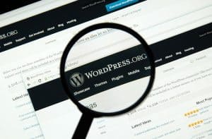 wordpress platform