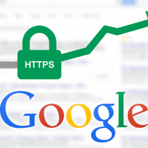 https for business